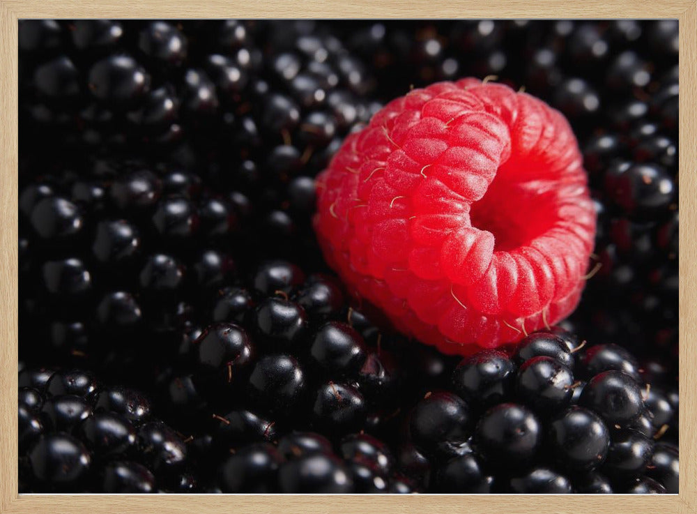 Berry different | Poster