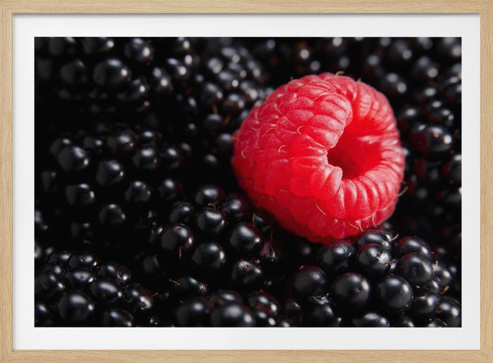 Berry different | Poster