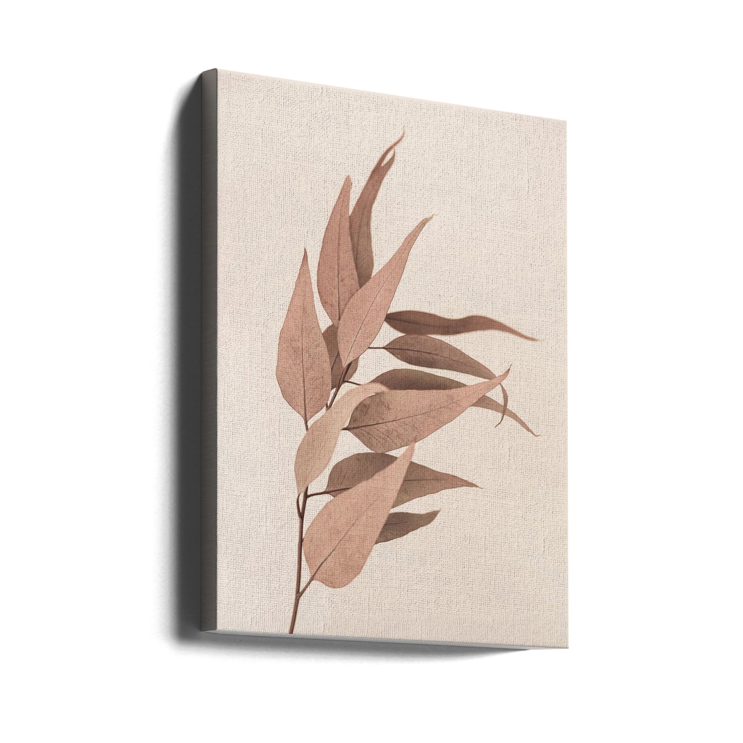 Dried Eucalyptus | Canvas