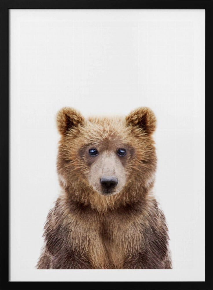 Babybär | Poster - Kunstdruck