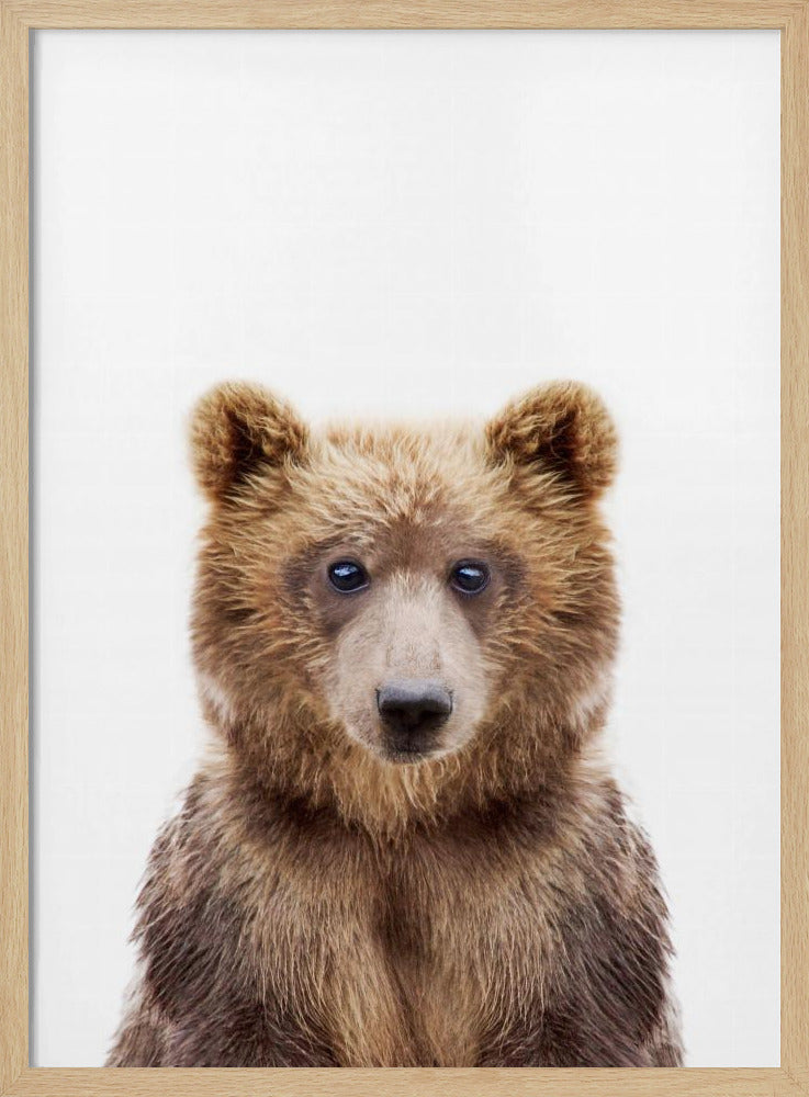 Babybär | Poster - Kunstdruck