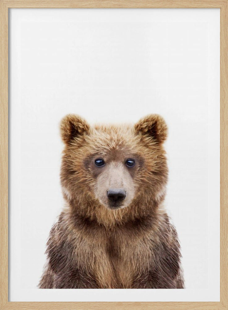 Babybär | Poster - Kunstdruck