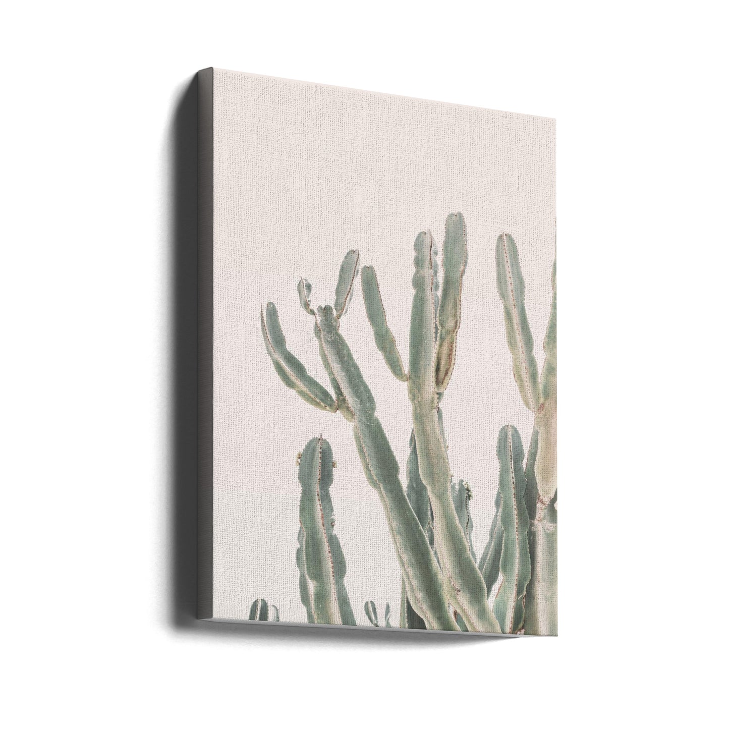 Sunrise Cactus | Canvas