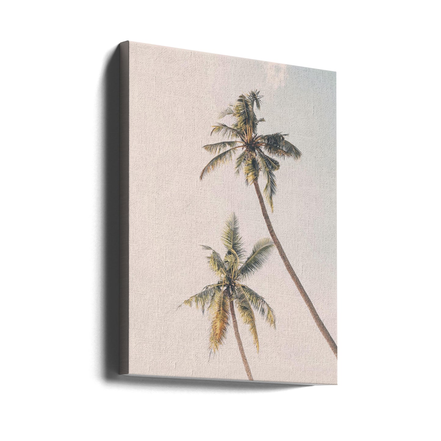 Tropical Palms | Canvas