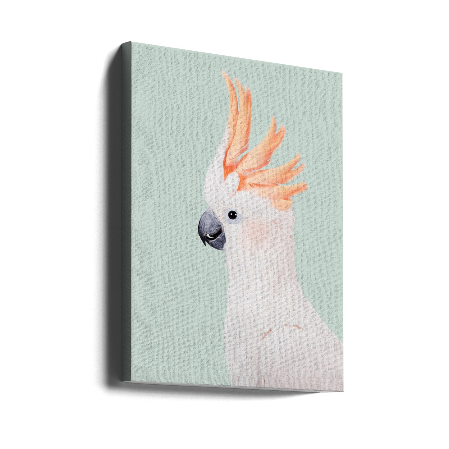 Cockatoo | Canvas