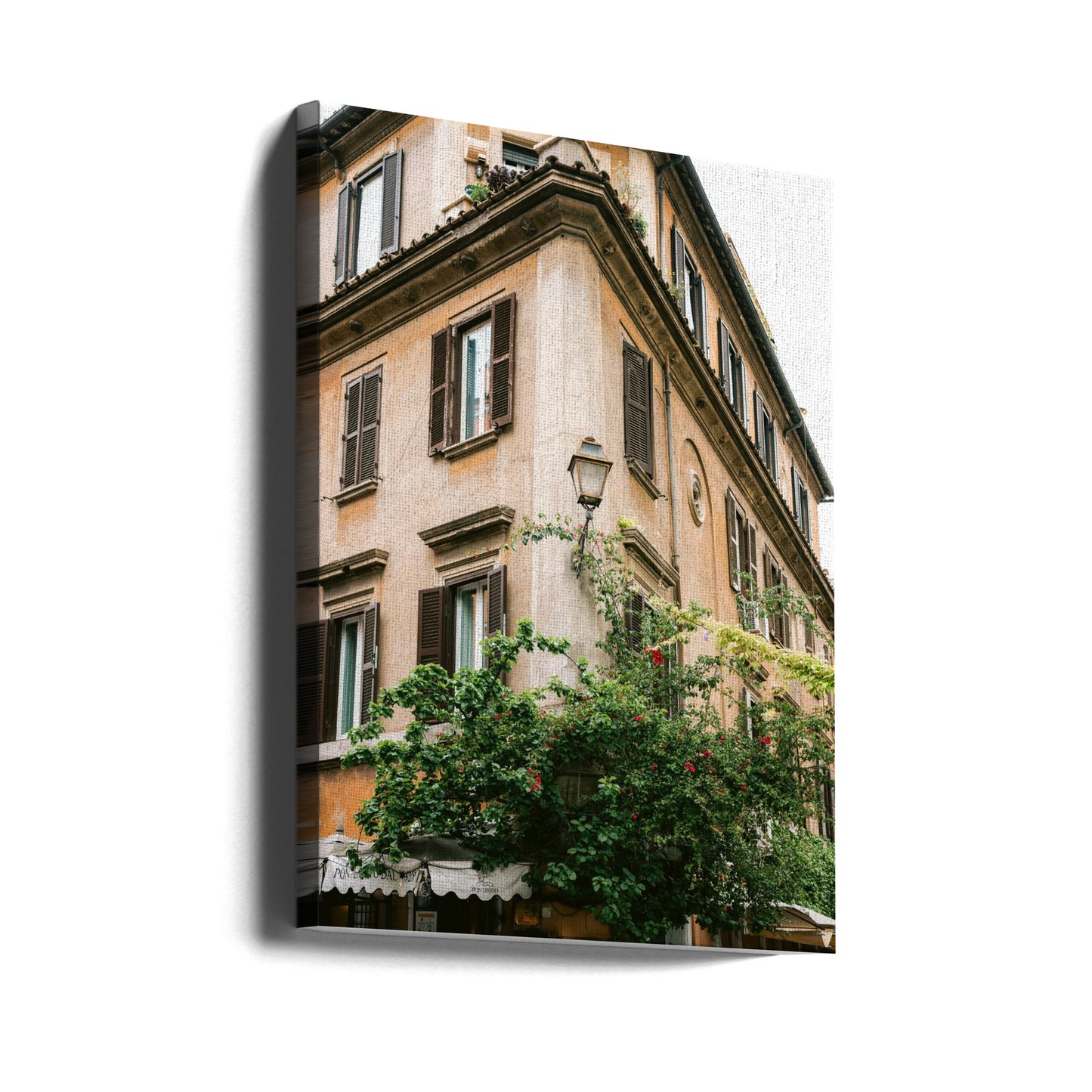 Botaniska Trastevere Rom || | Canvastavla