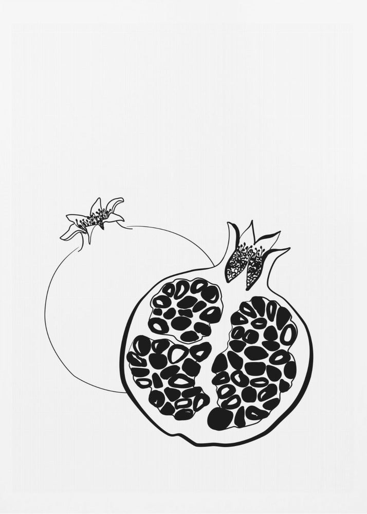 Line art pomegranates | Poster
