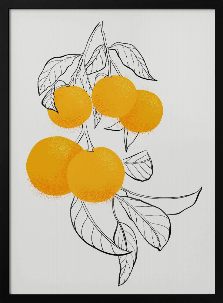 Mabel oranges | Poster