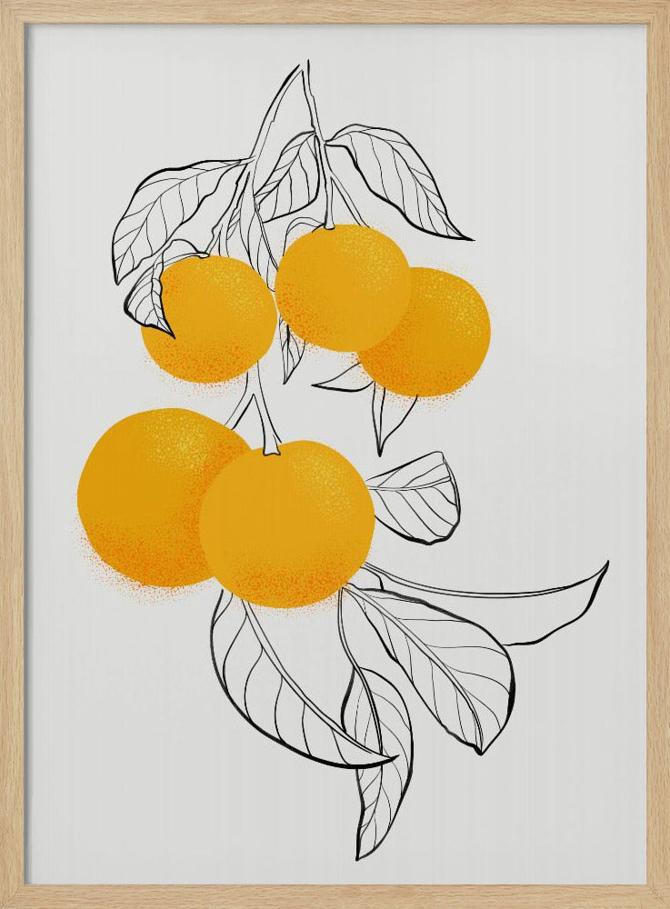 Mabel oranges | Poster