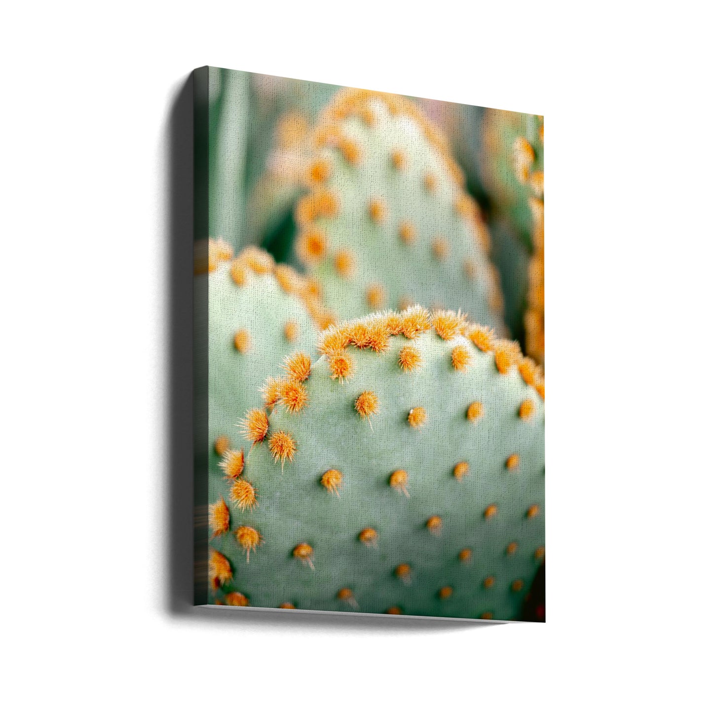 Orange and Green II - Marrakech botanical photography | Canvas