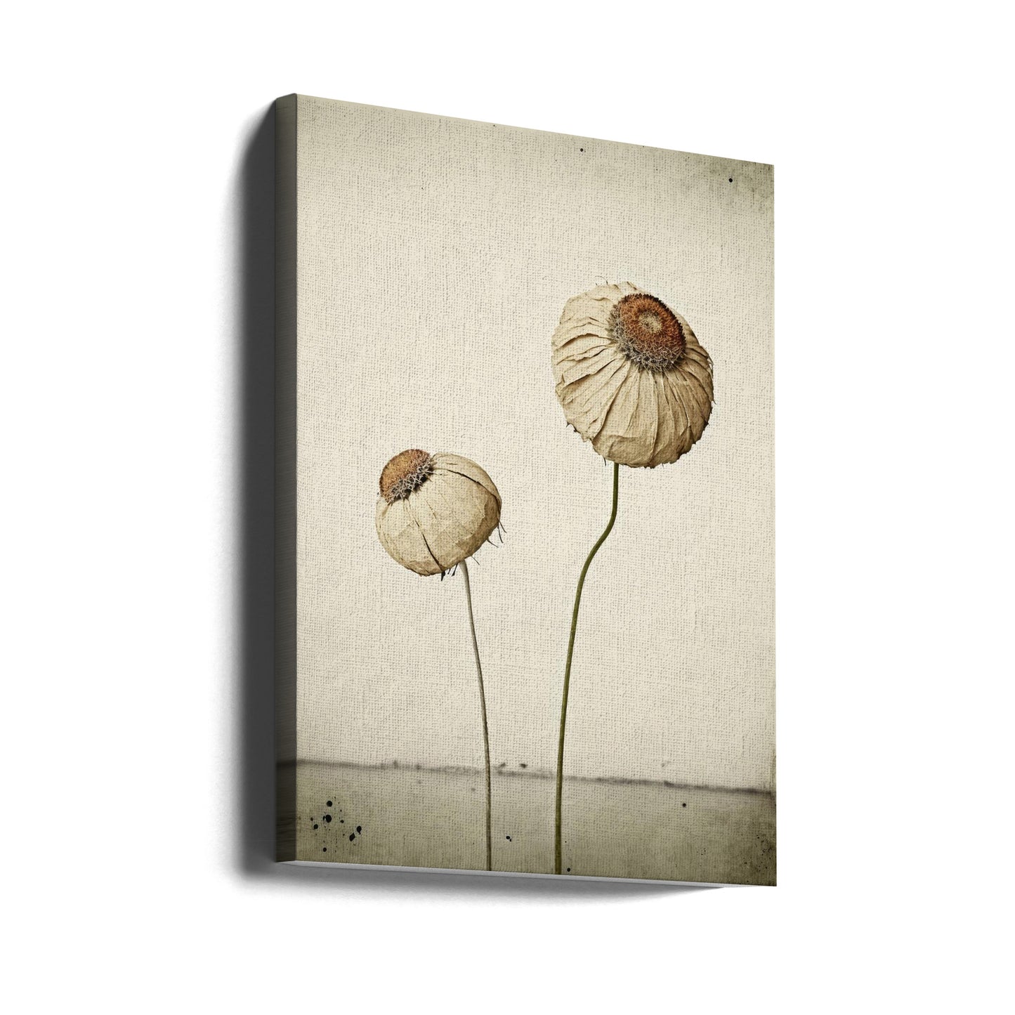 Evig blomst | Lerretsbilder