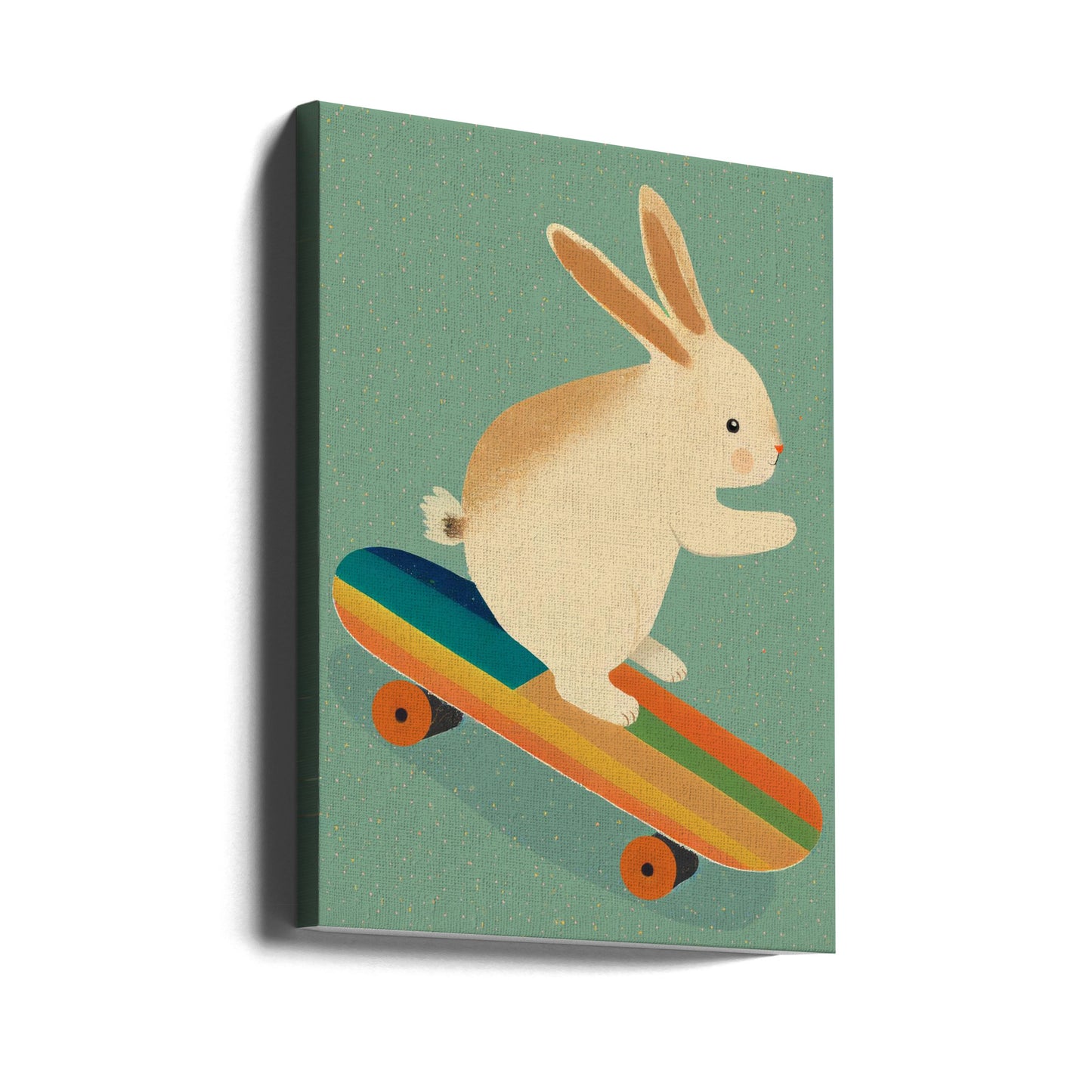 Kanin på skateboard | Lærredsbilleder