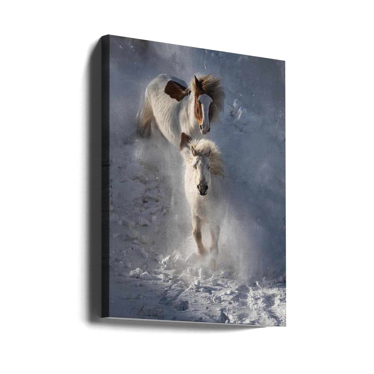 Two Horses | Canvas
