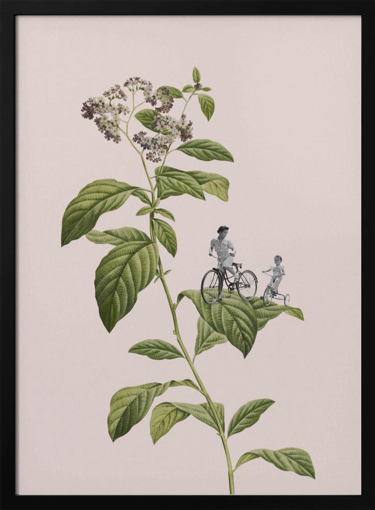 Ciclismo botánico | Posters - Impresiones de Arte