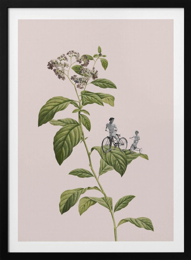 Ciclismo botánico | Posters - Impresiones de Arte