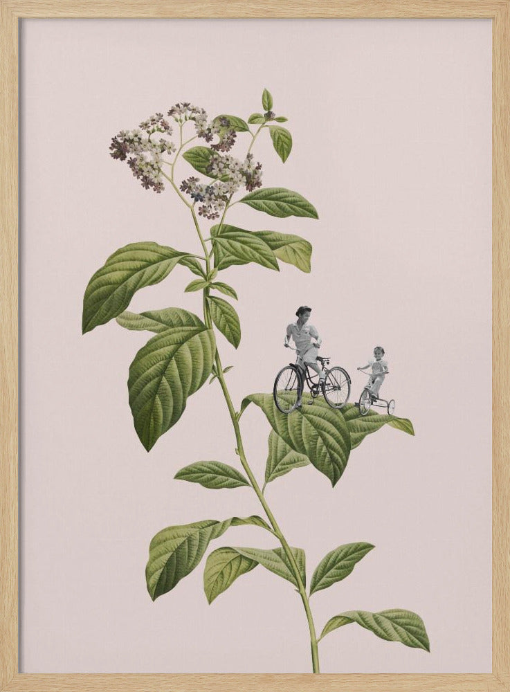 Ciclismo botánico | Posters - Impresiones de Arte