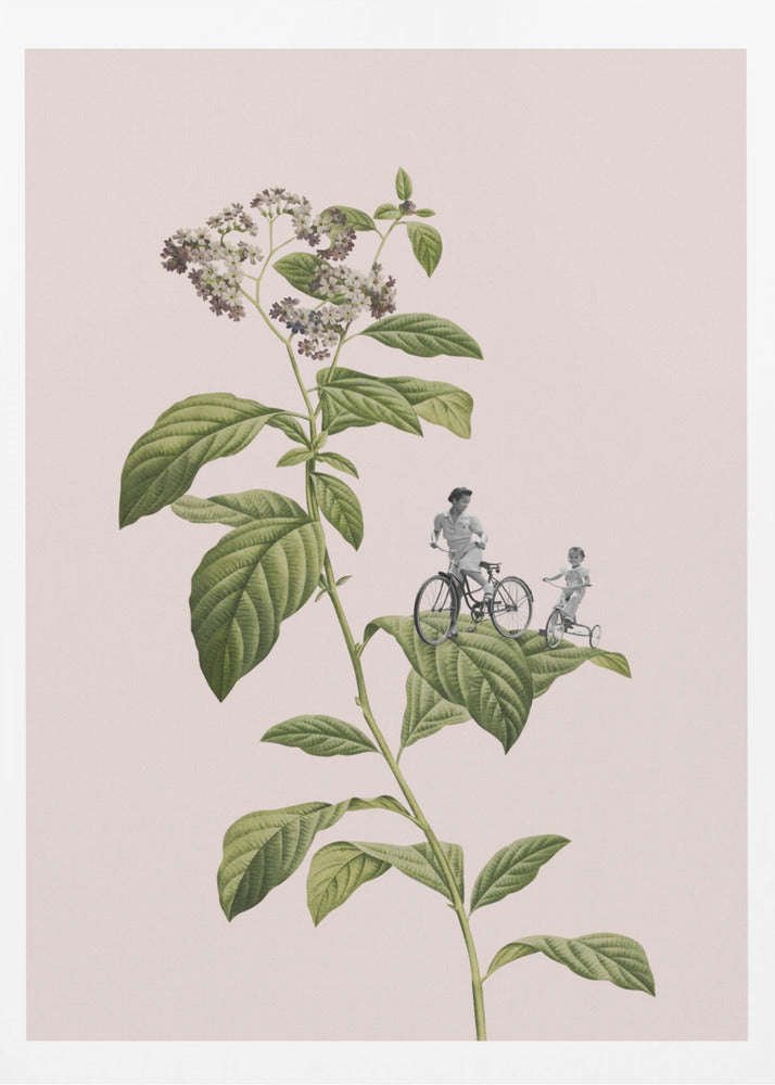 Ciclismo botánico | Posters - Impresiones de Arte
