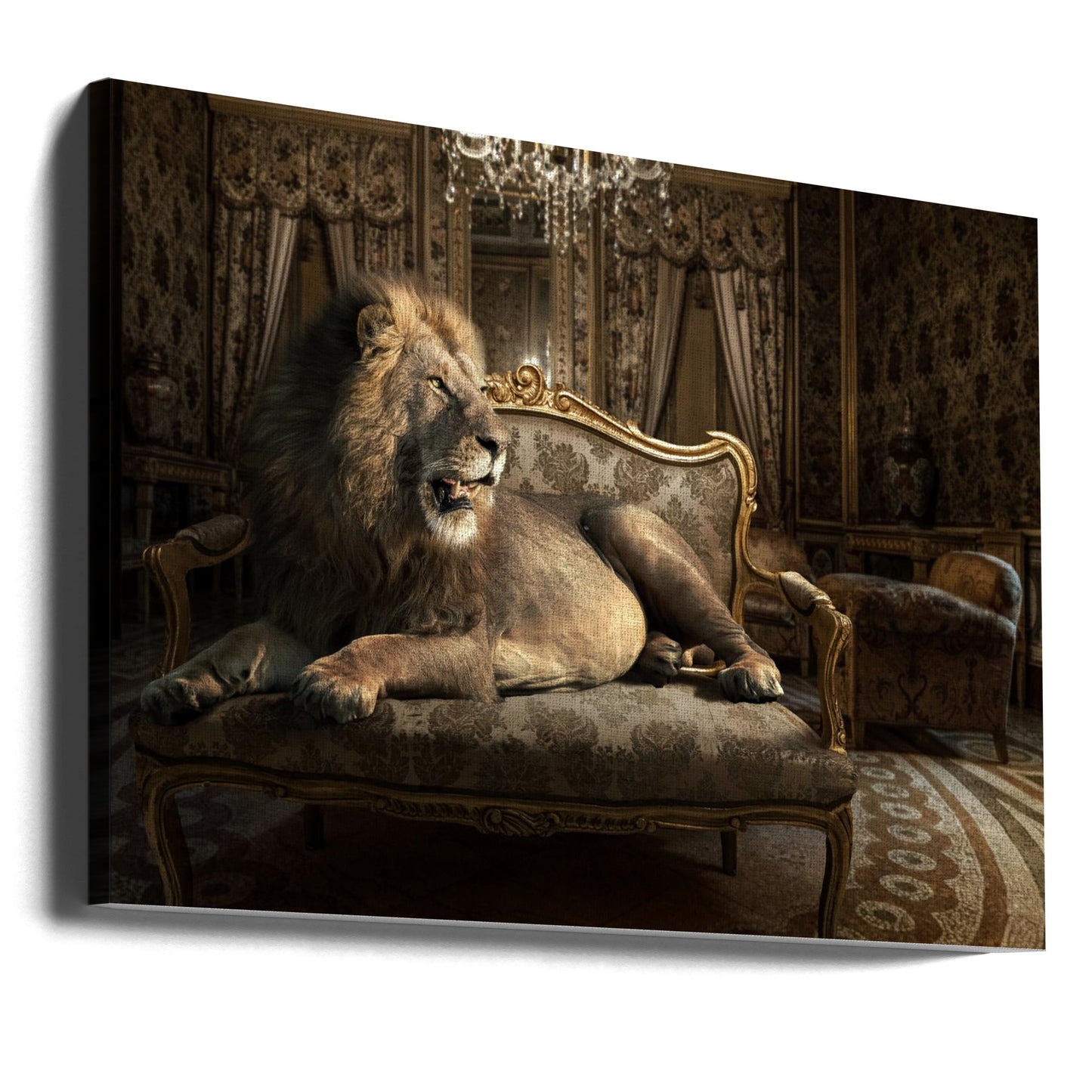 PalazzoLion | Canvas