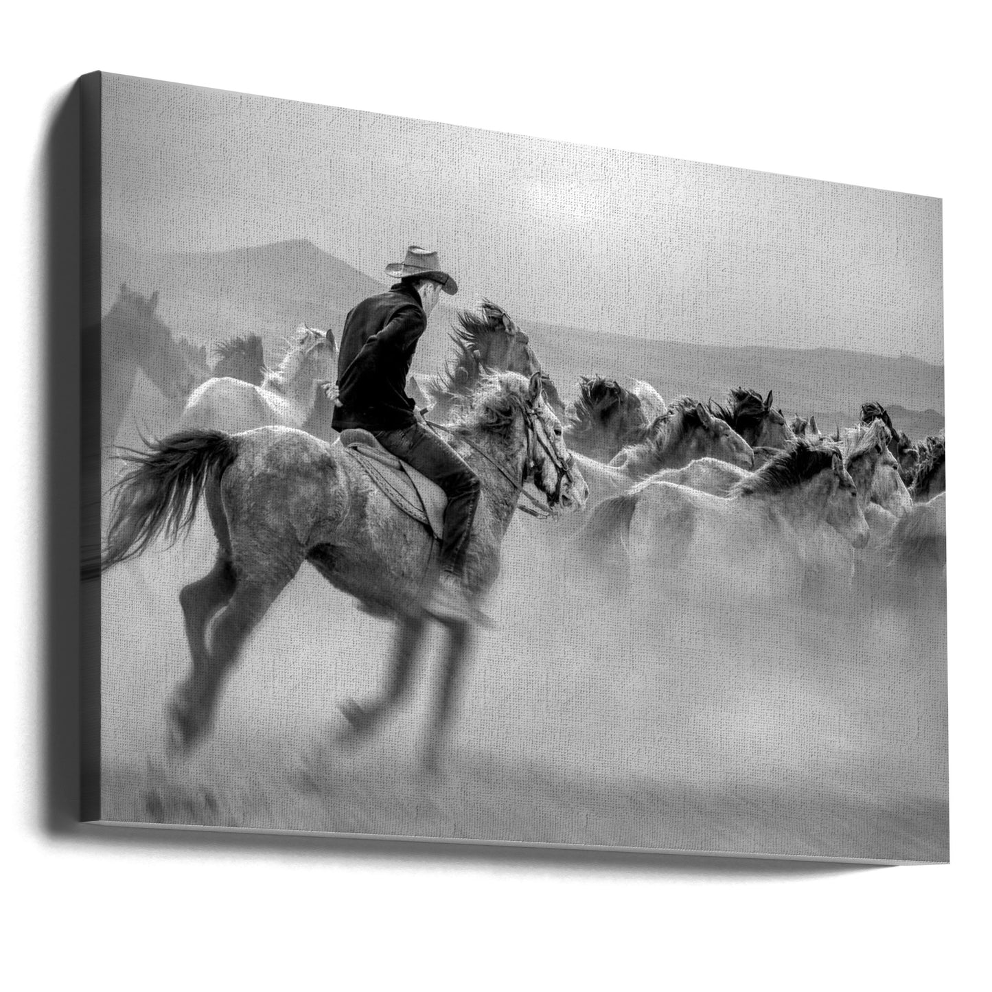 Wildpferde (auch Wildpferde genannt) | Leinwand-Bilder