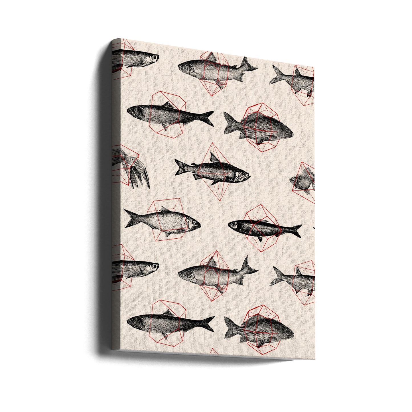 Peces en Geometría Nº4 | Impresiones en Lienzo