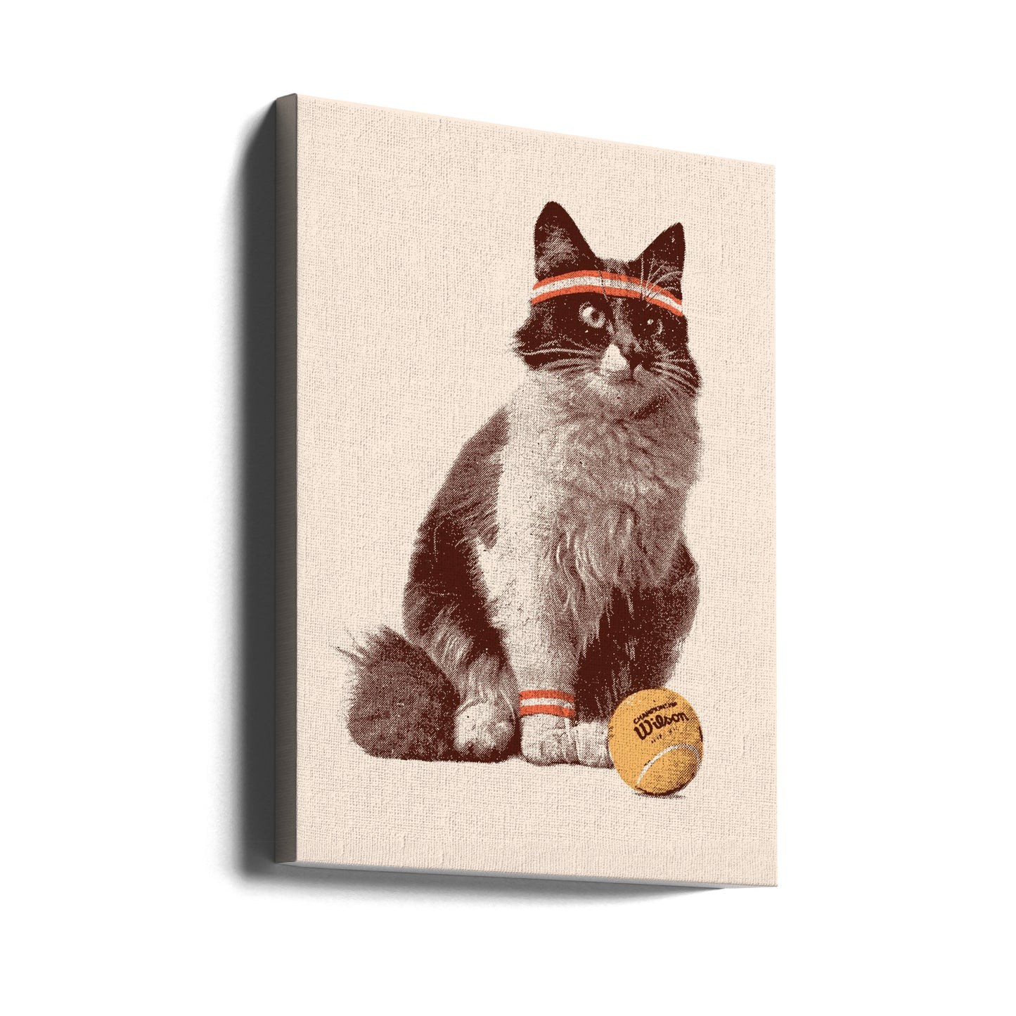 Gato tenista | Impresiones en Lienzo