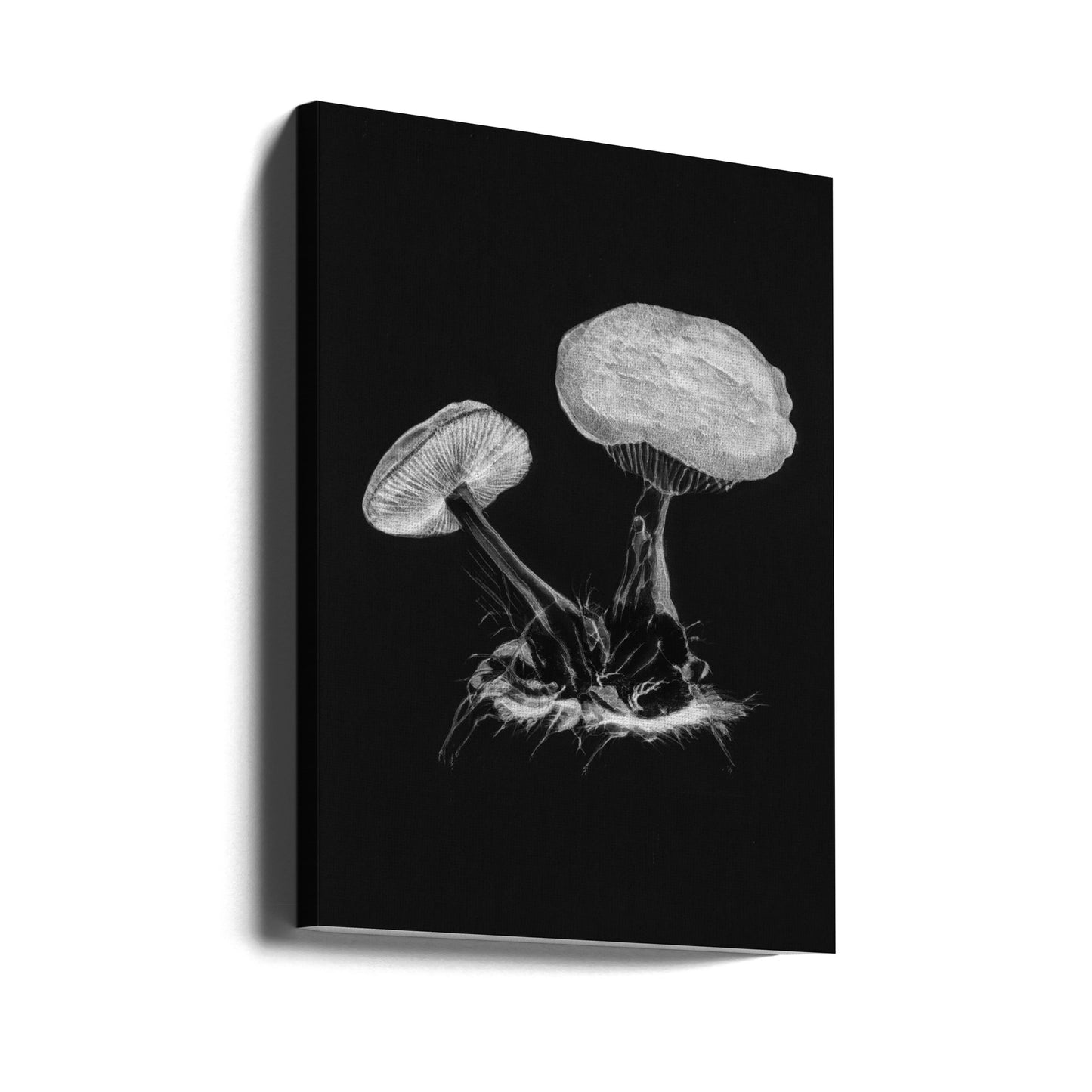 Vintage Violet Webcap Mushroom Mørk B/W | Lærredsbilleder