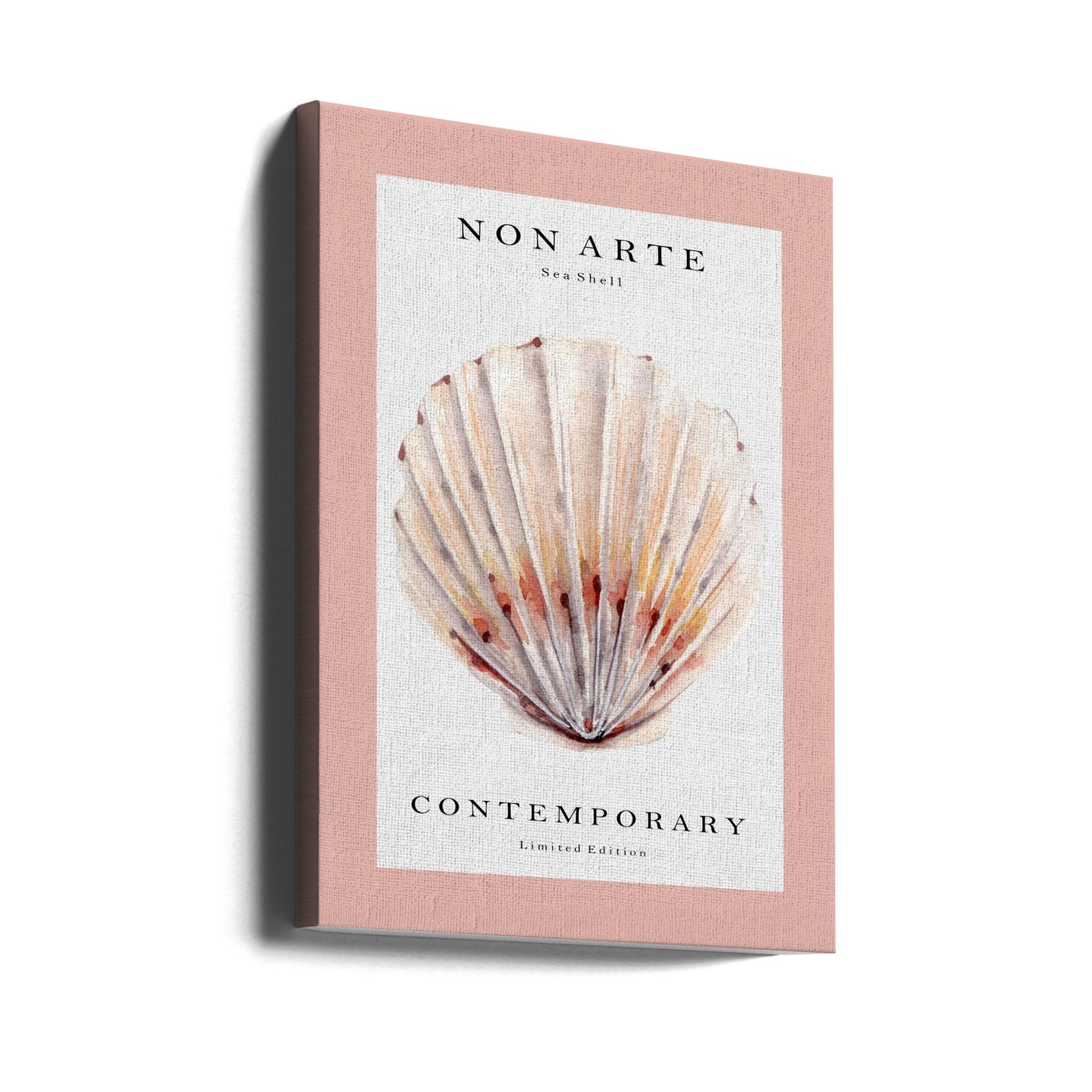 Non Arte Sea Shell no.2 | Canvas
