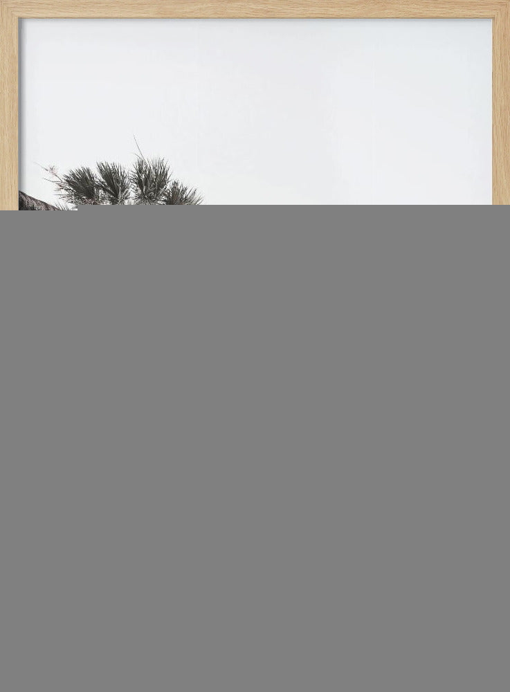 Skyward Palms | Poster