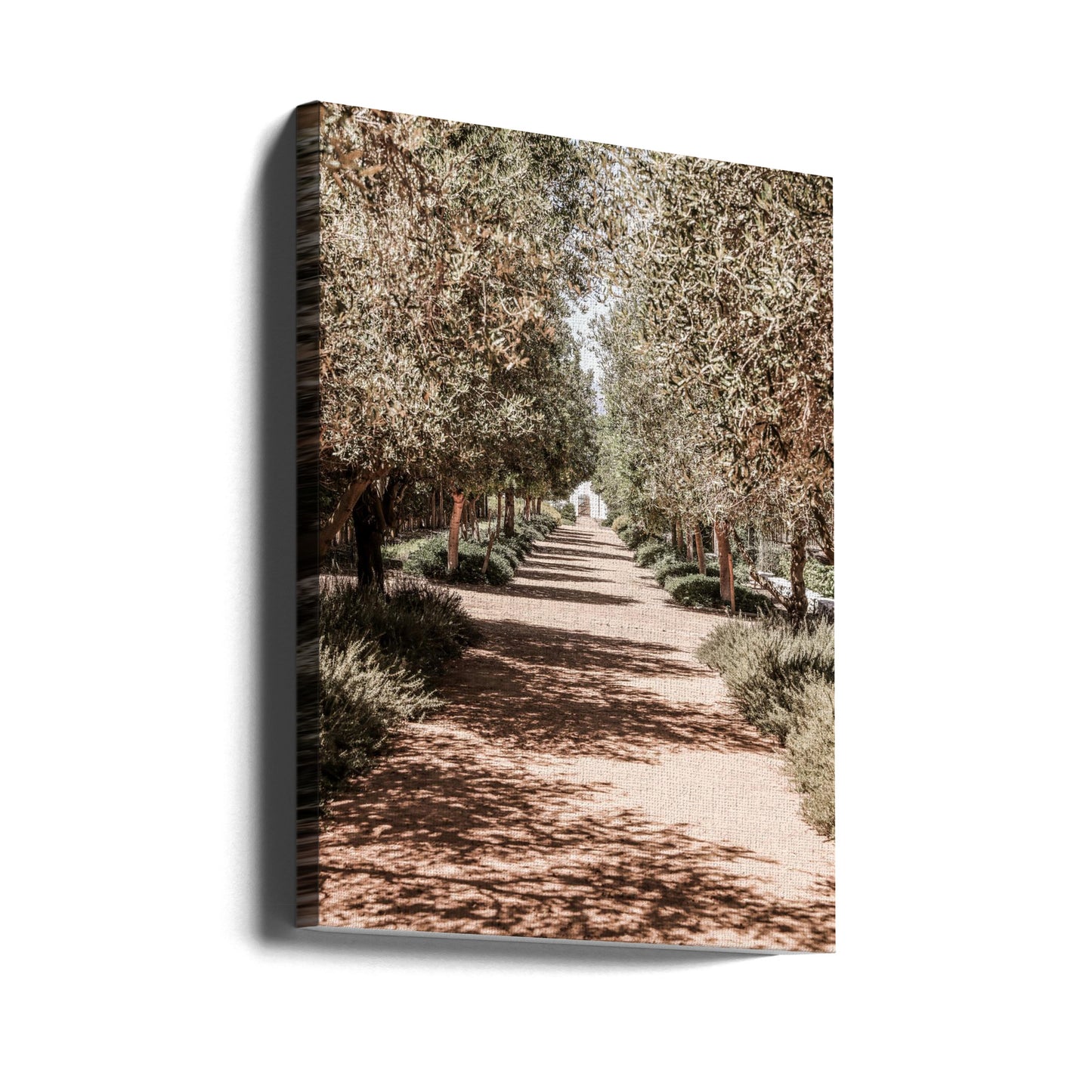 Giardino segreto | Stampe su Tela