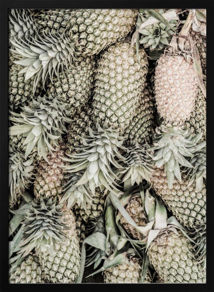Spiced Pine | Poster