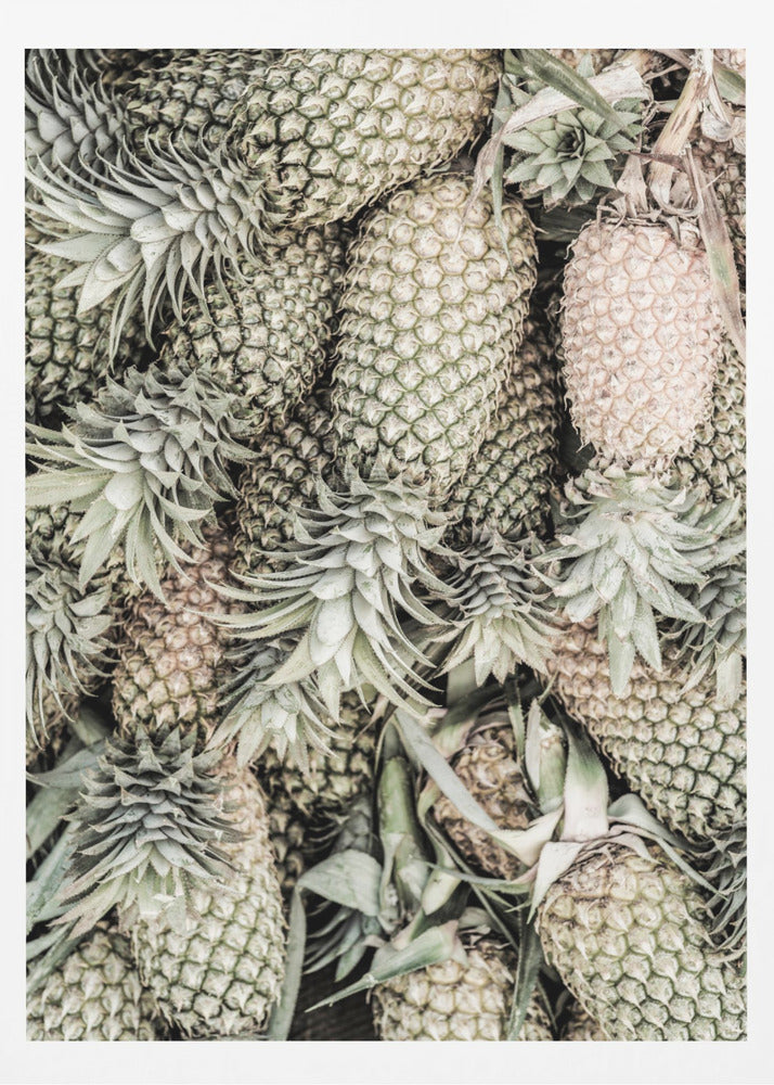 Spiced Pine | Poster