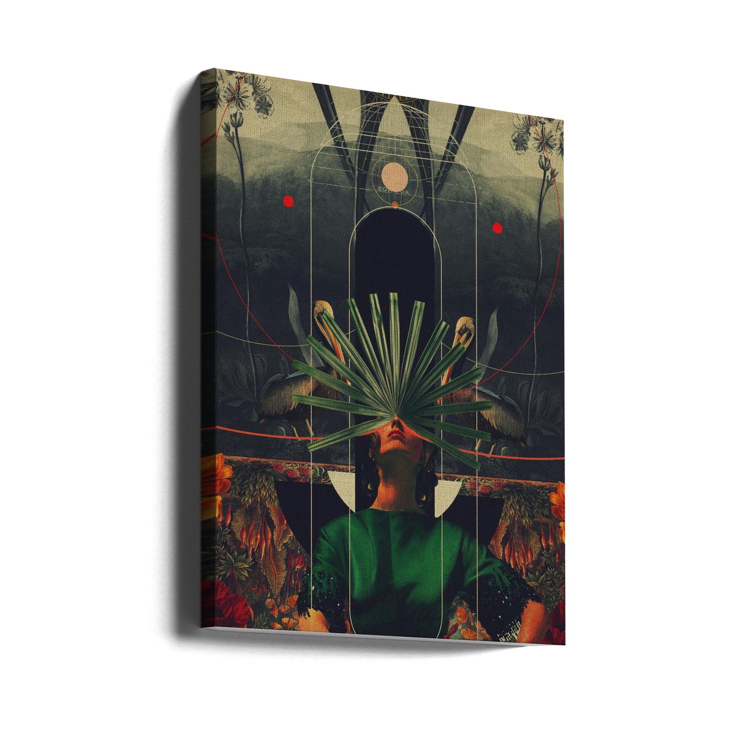 Elle a vu l'équateur | Tableaux sur Toile
