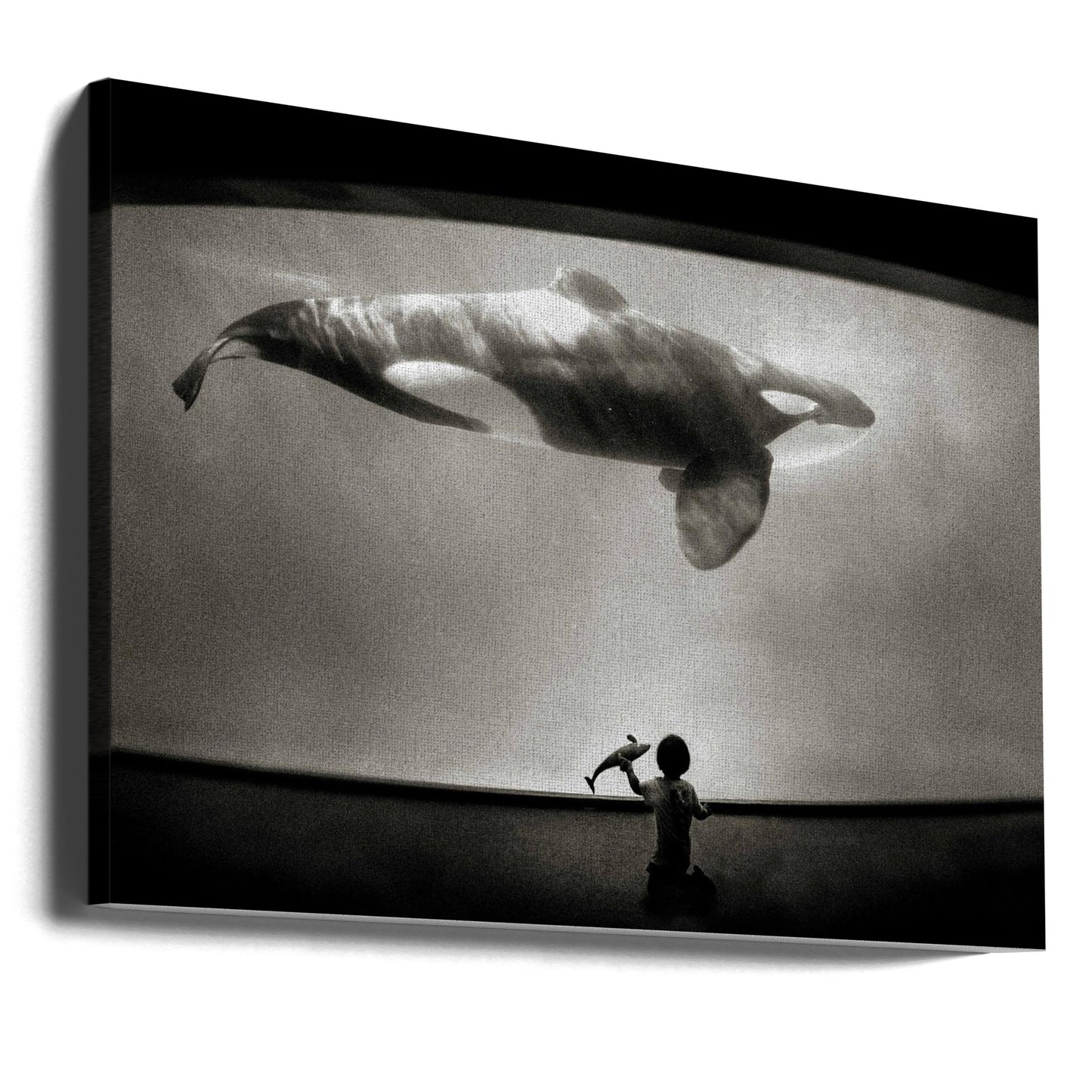 Binnen het domein van de orka | Canvasprints