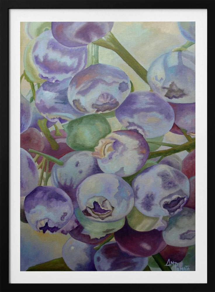 Blueberries | Poster