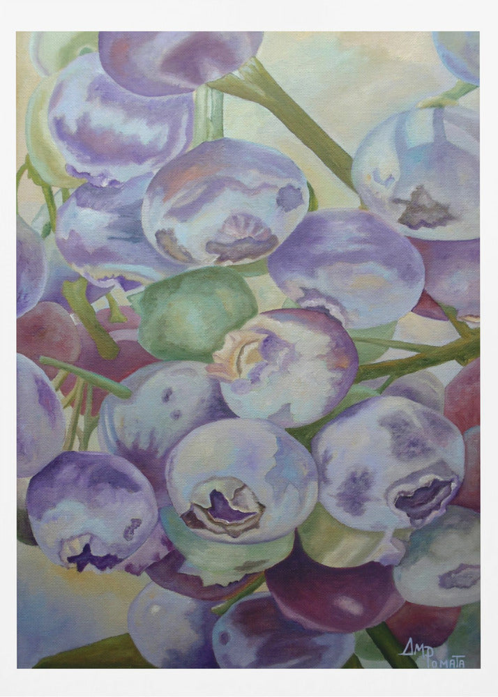 Blueberries | Poster