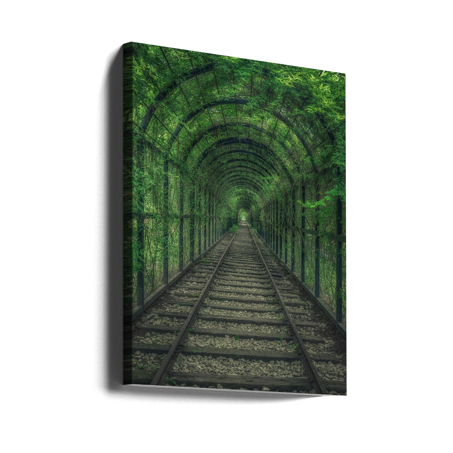 Galleria Verde | Stampe su Tela
