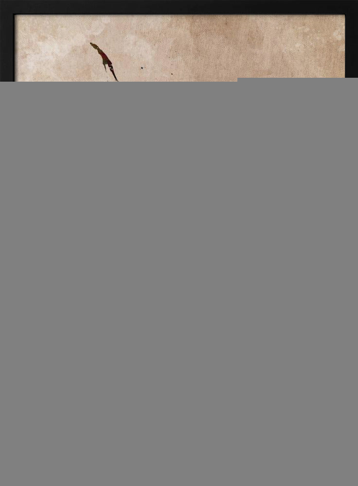 Ballet Dancer 2 | Poster