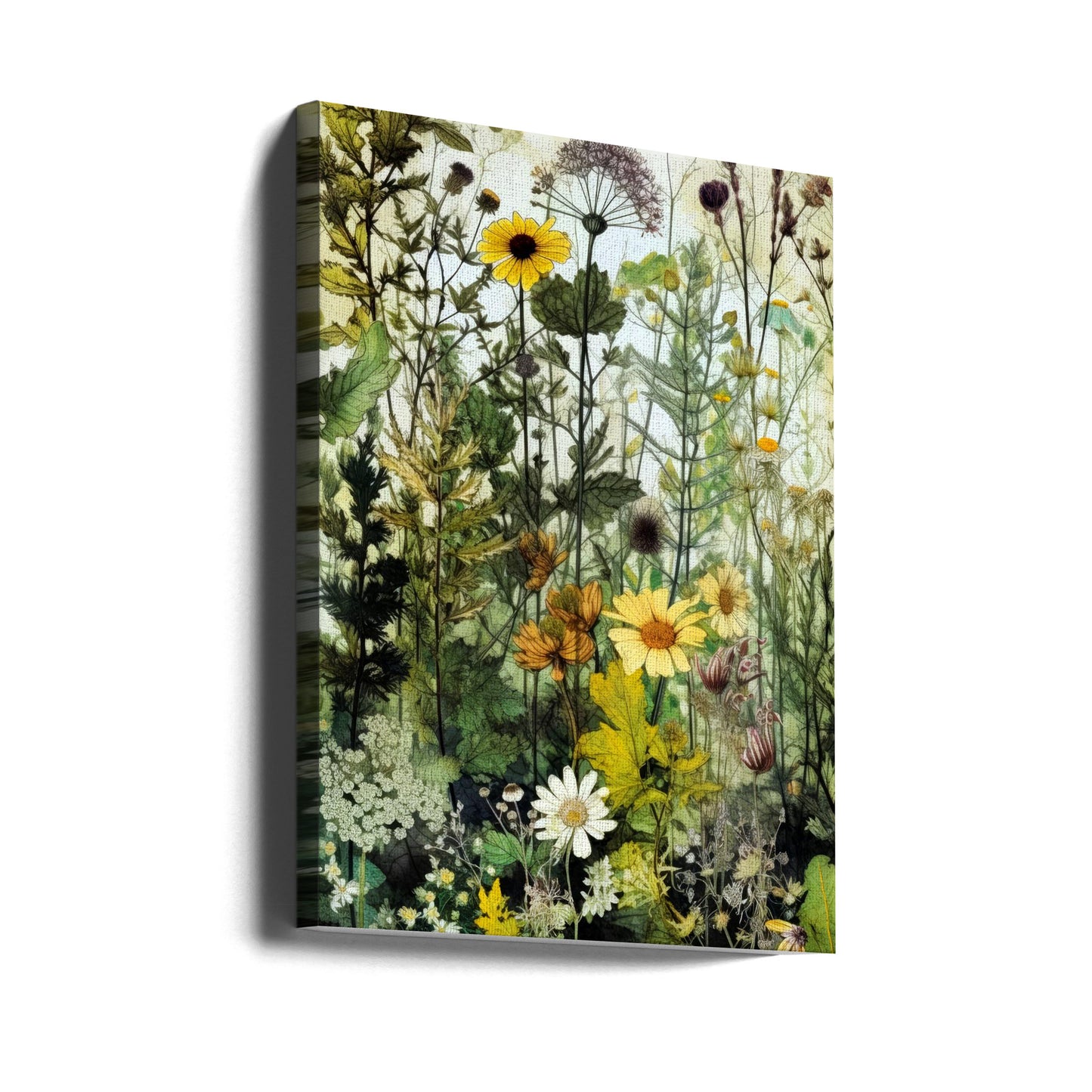 Fiori di prato 10 | Stampe su Tela