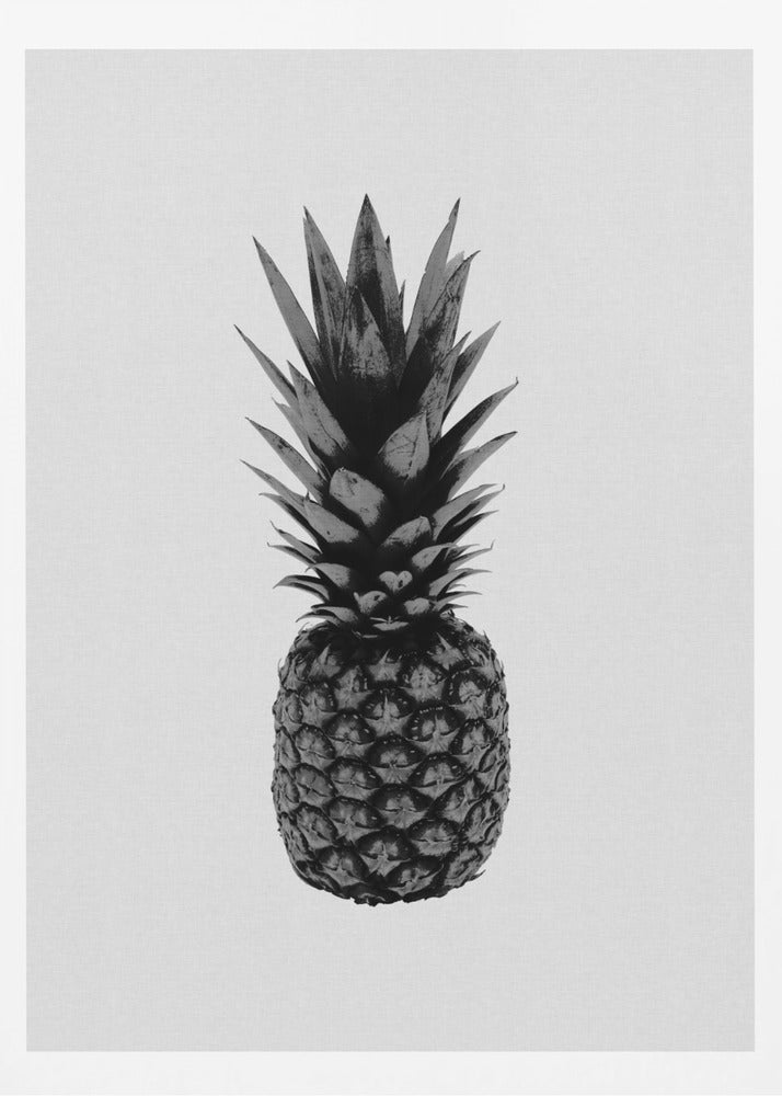Ananas Svart & Vit | Poster