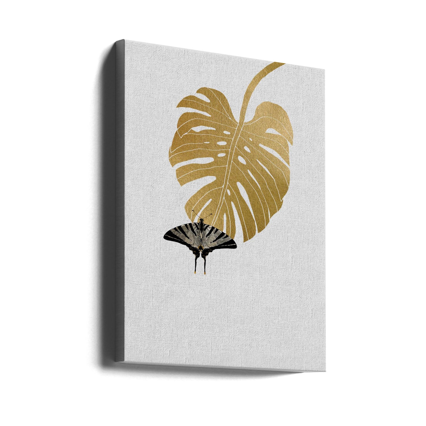 Butterfly & Monstera Leaf | Canvas