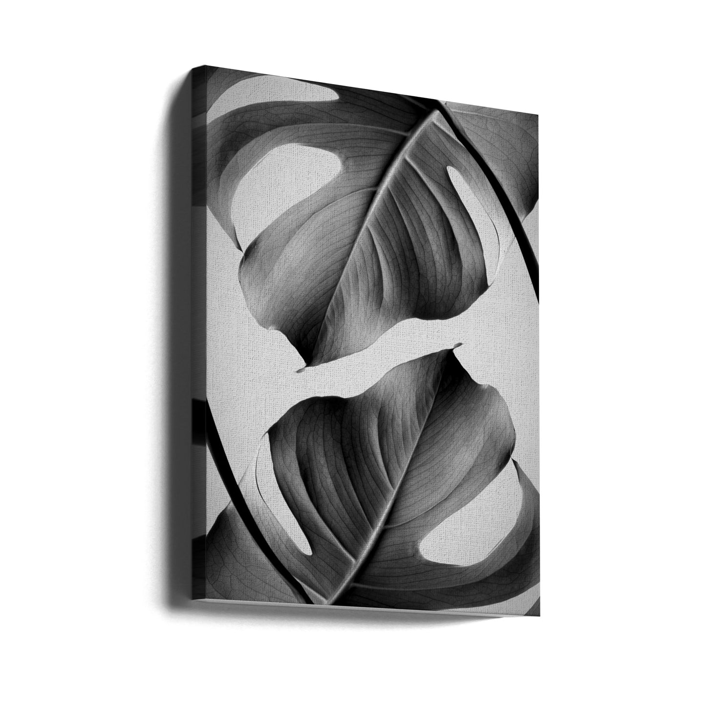 Monstera Monochrom | Leinwand-Bilder