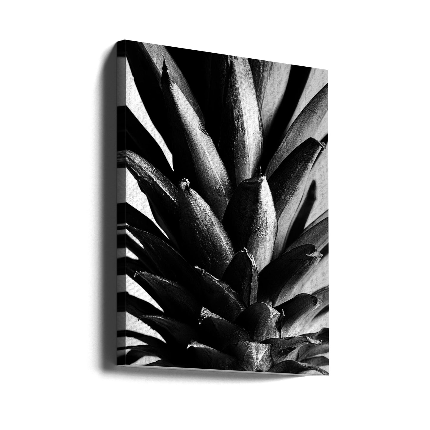 Svartvitt tall | Canvas