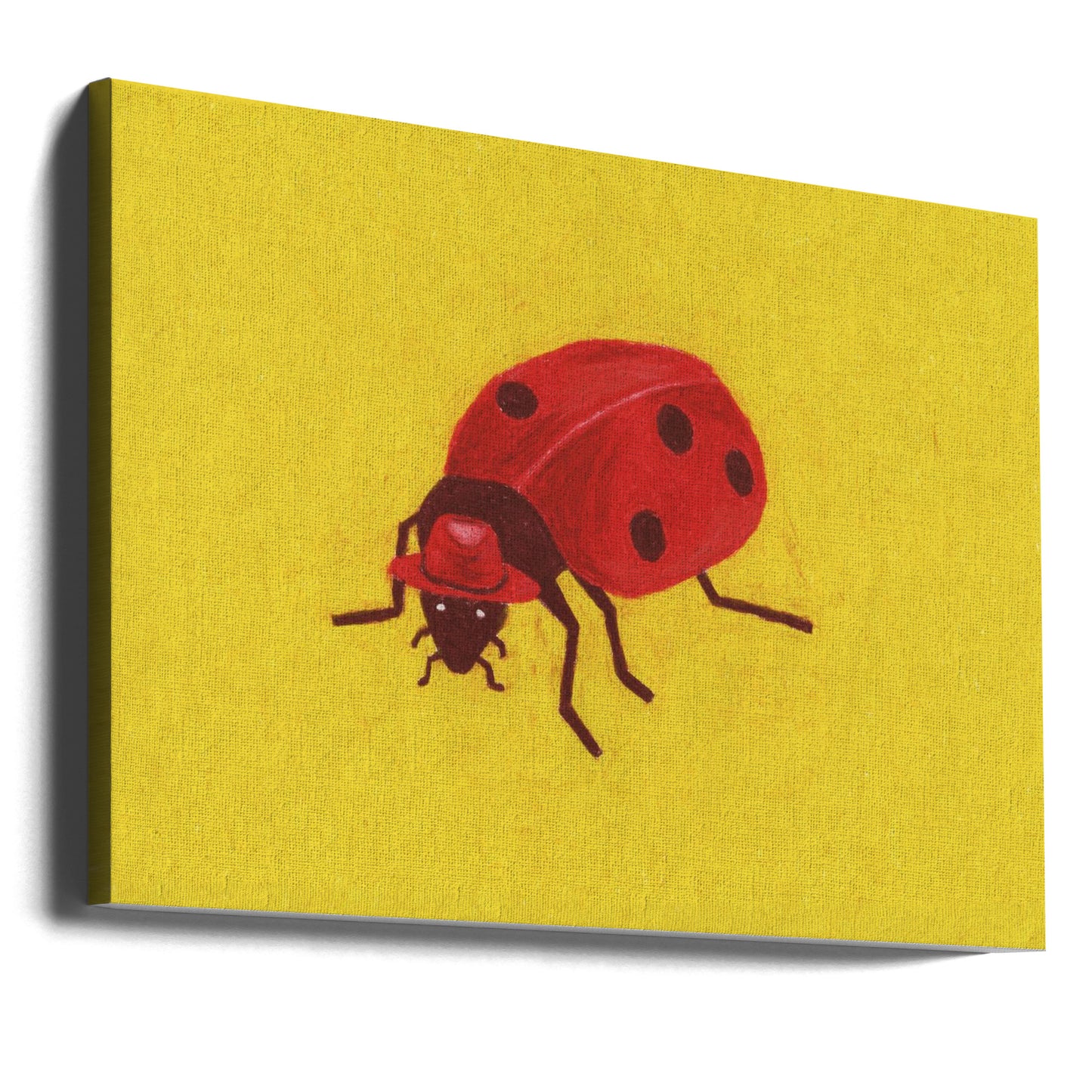Ladybird | Canvas