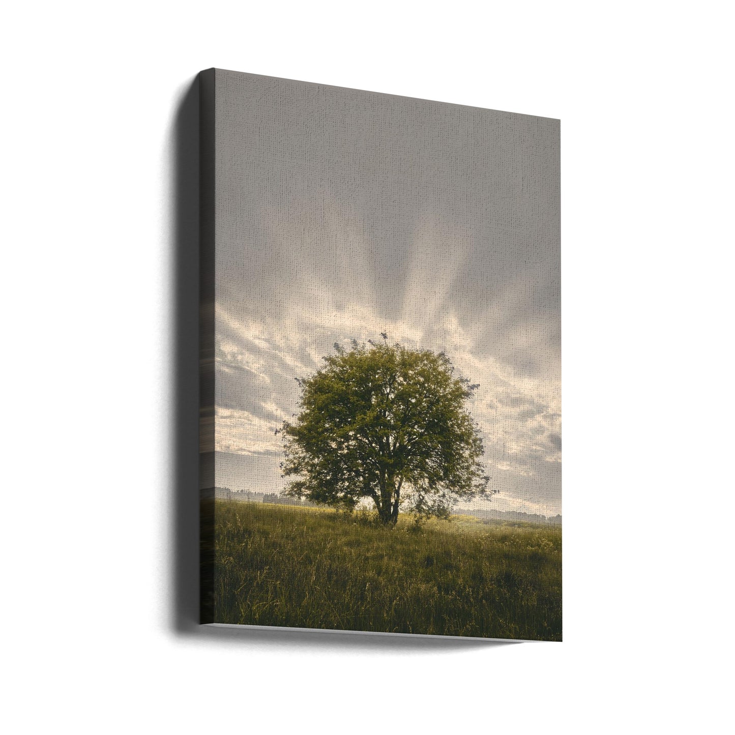 20220616 Dsf4394 | Canvasprints