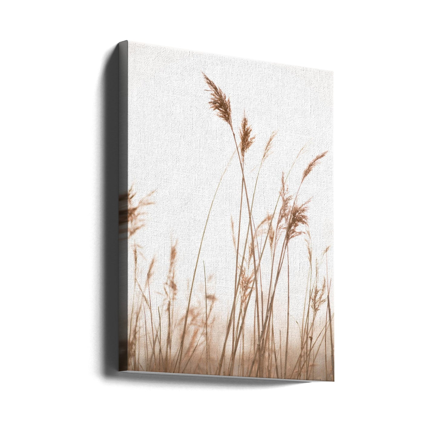 Moerasgras nr. 6 | Canvasprints