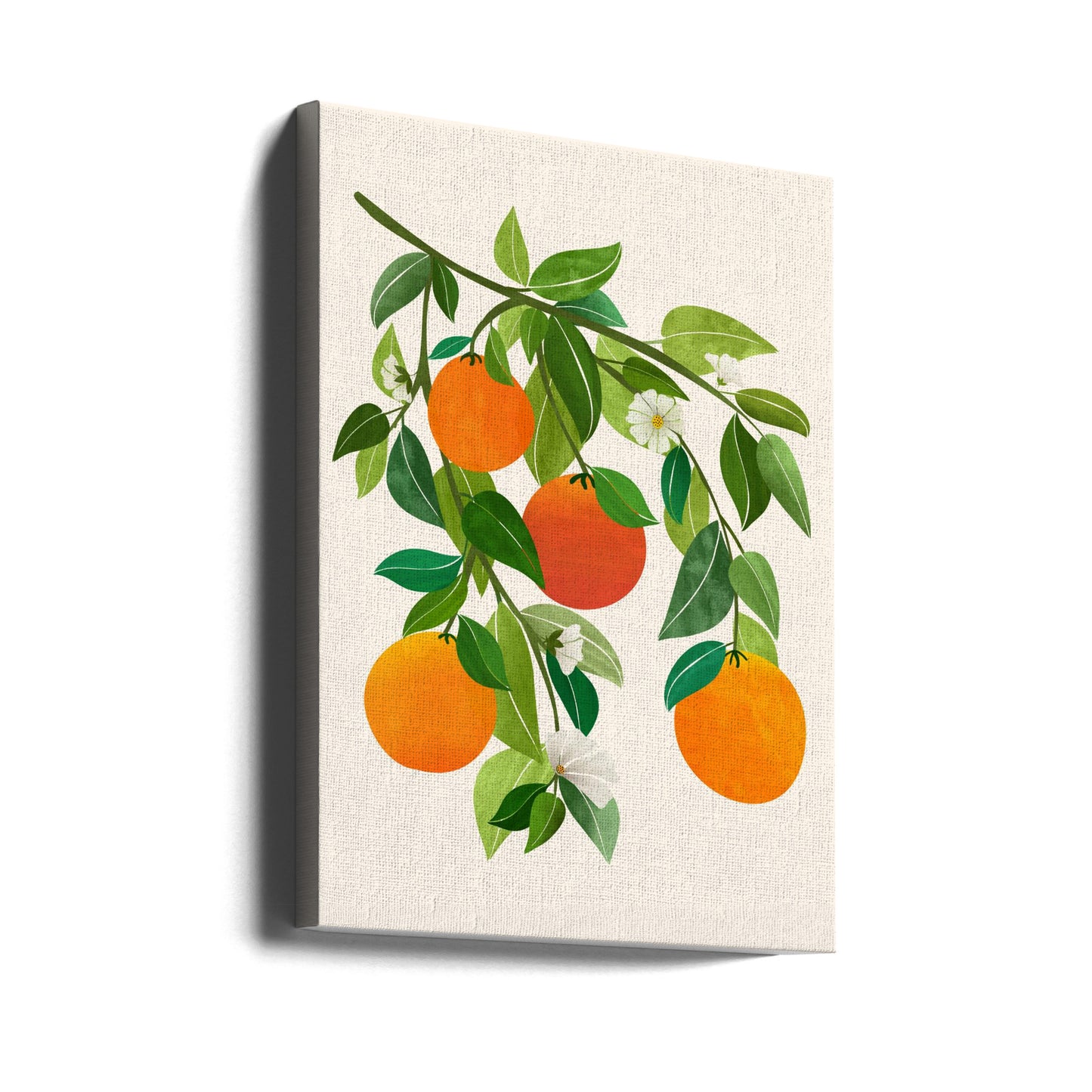 Orangen und Blüten II | Leinwand