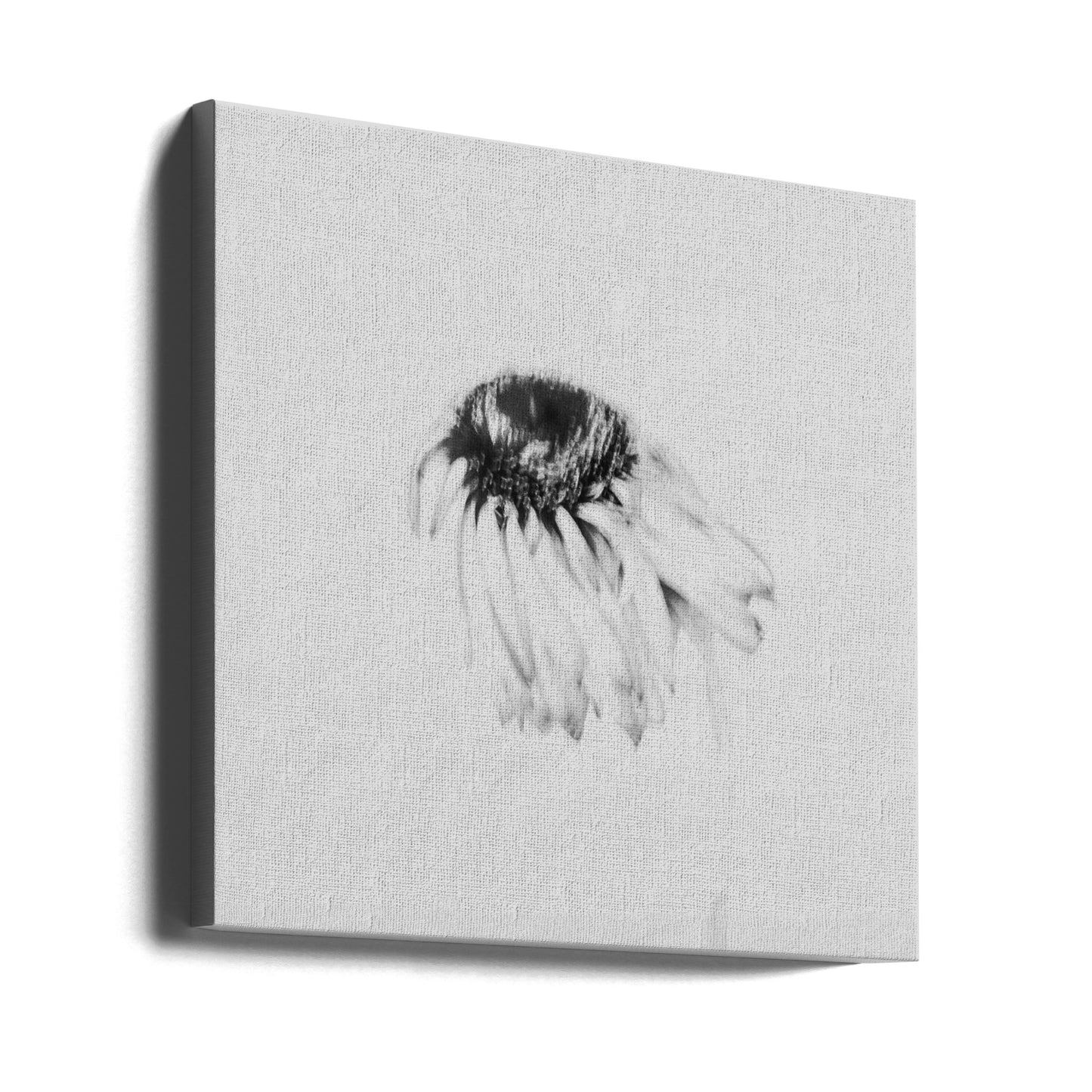 Fleur de mauvaise humeur | Tableaux sur Toile