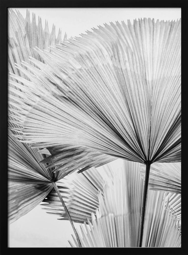 Leaf II | Poster