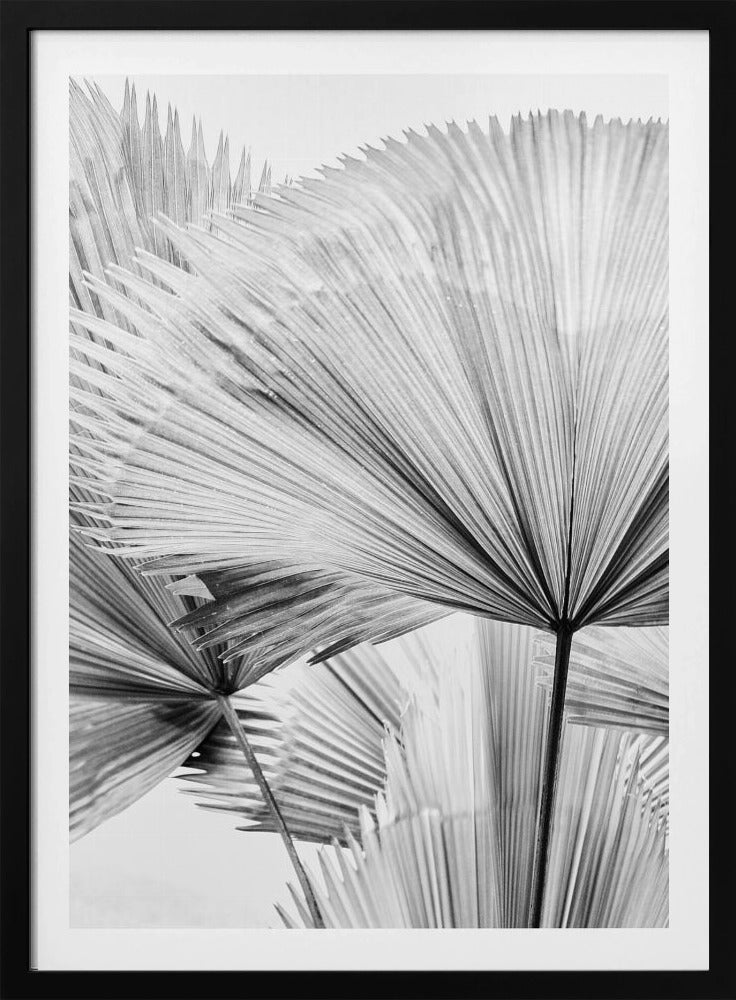 Leaf II | Poster
