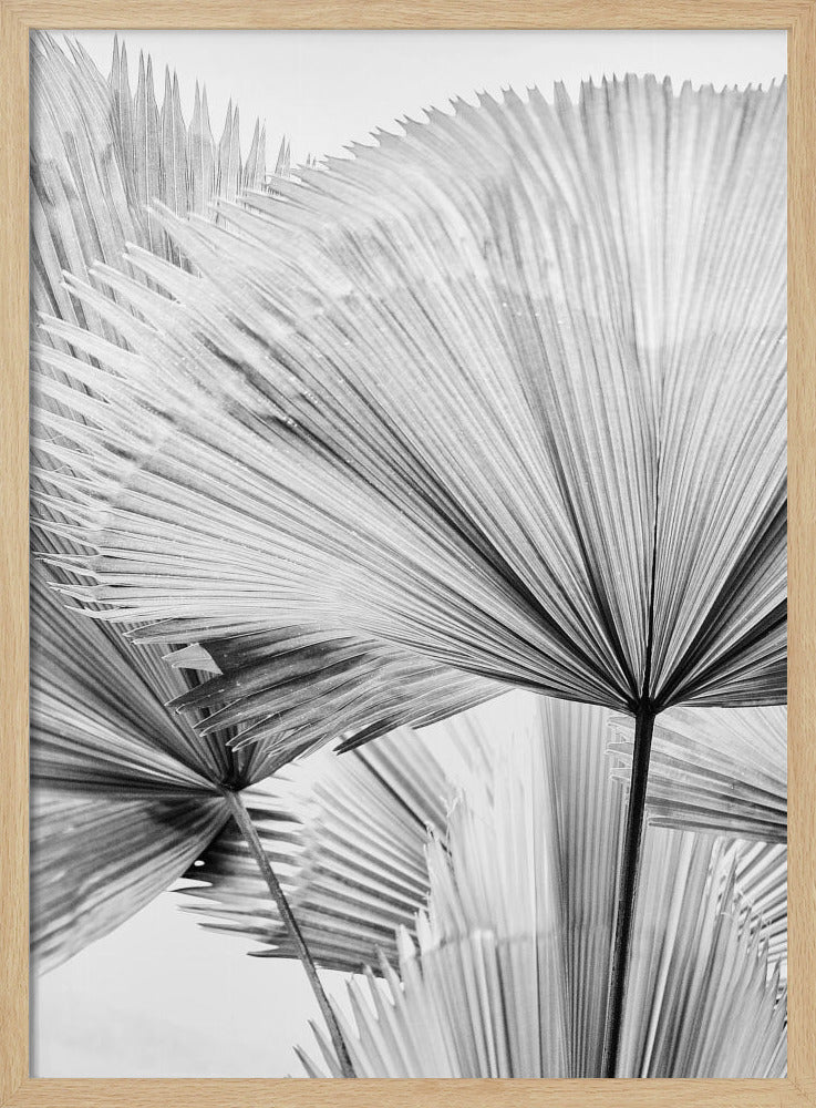 Leaf II | Poster